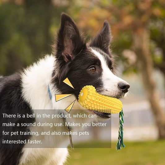 Squeaky Chew Dog Toy - Puppy Indoor Outdoor Teeth Cleaning Play Toy