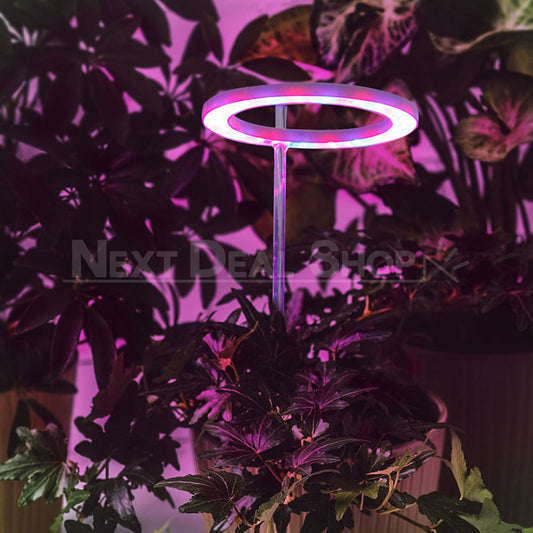 Halo Grow Lights for Indoor Plants (USB Powered)-Next Deal Shop-Red & Blue-Next Deal Shop