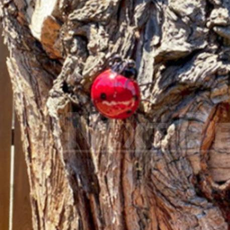 Hand-painted Metal Ladybug Wall Decor-Next Deal Shop-Next Deal Shop