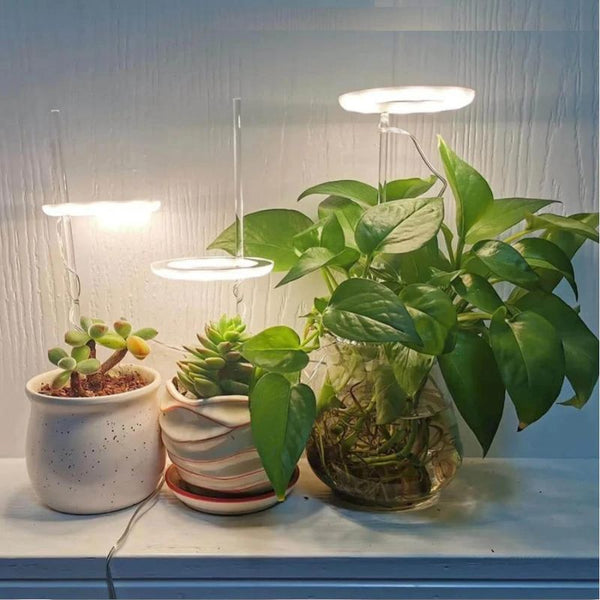 grow lights for plants uk Halo Grow Lights for Indoor Plants (USB Powered) – nextdealshop.co.uk