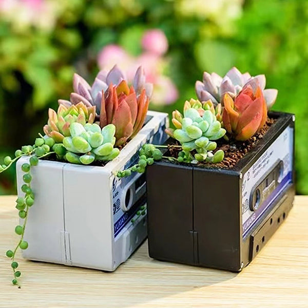 Cassette Tape Succulent Planter Next Deal Shop UK
