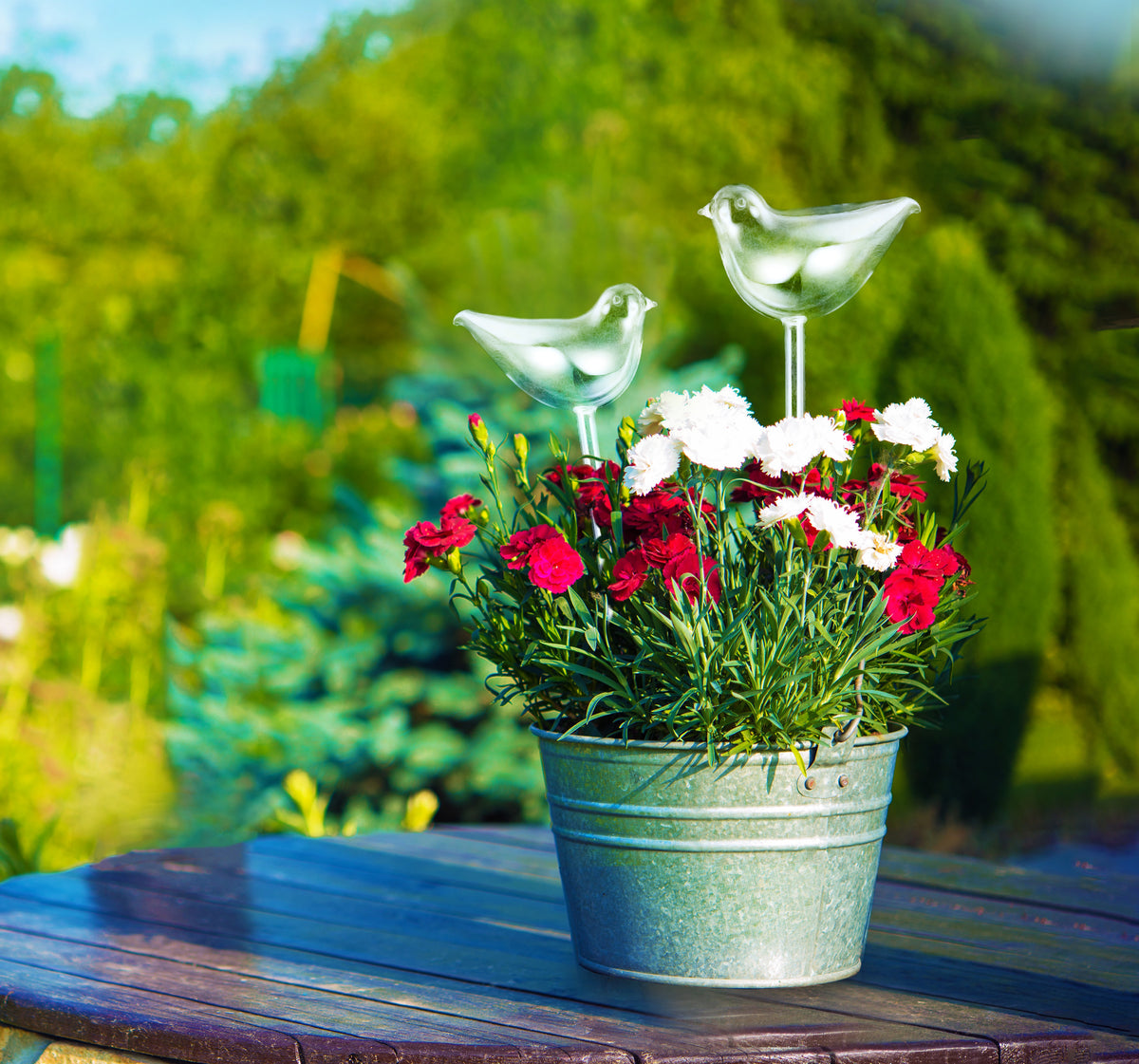 2 Pcs Self-Watering Plant Glass Bulbs