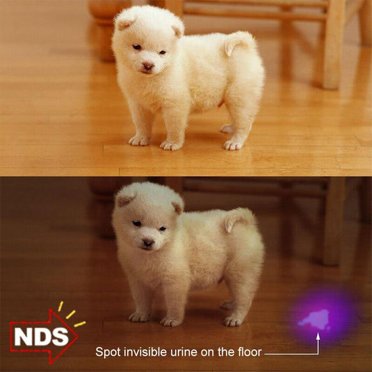 Useful Pet Urine Purple UV LED Torch
