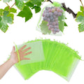 100 Pcs - Fruit Protection Bag