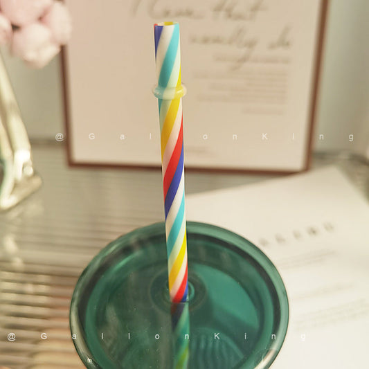 10.6 Inch Reusable Drinking Straw for starbucks cups