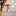 Wooden Mushroom Hummingbird House