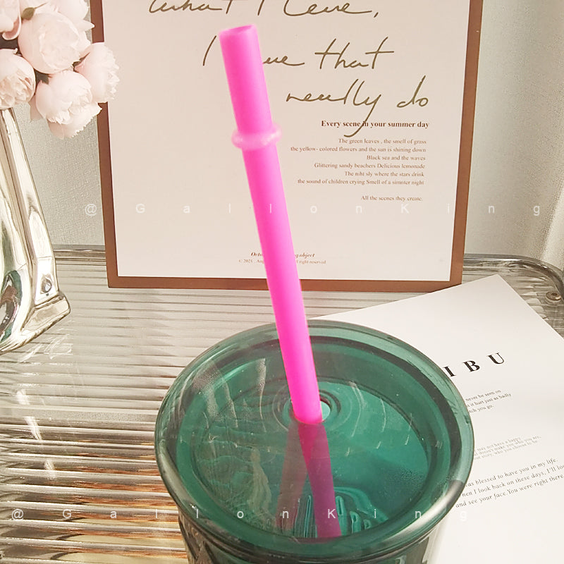 10.6 Inch Reusable Drinking Straw for starbucks cups
