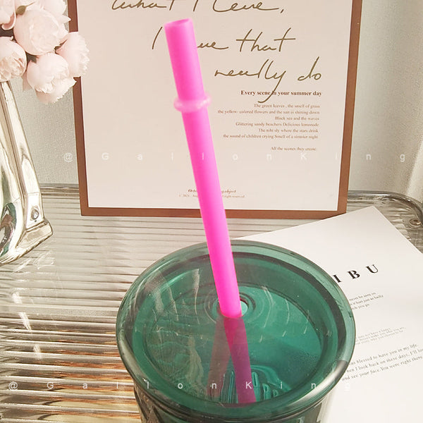 10.6 Inch Reusable Drinking Straw for starbucks cups