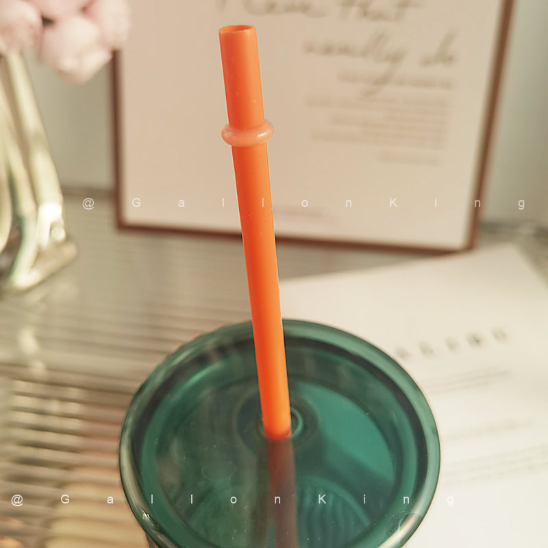 10.6 Inch Reusable Drinking Straw for starbucks cups