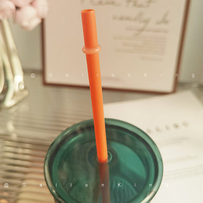 10.6 Inch Reusable Drinking Straw for starbucks cups