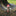 Sleeping Mushroom Fairy Figurine