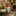 Naughty Garden Gnome Figurine