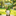 Flocked Moss Garden Gnome Figurine with Leaf Umbrella
