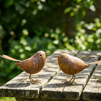 Set of 2 Rustic Metal Bird Garden Yard Art Decor