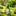 Flocked Moss Garden Gnome Figurine with Leaf Umbrella