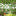 Set of 12 Resin Skull Garden Plant Stake