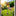 Stained Glass & Iron Owl Garden Wind Chime