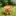 Hedgehog Mushroom Outdoor Bird Feeder