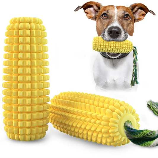 Squeaky Chew Dog Toy - Puppy Indoor Outdoor Teeth Cleaning Play Toy