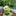 Fishing Frog Garden Decor