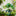 Lucky Clover Hanging Decor