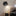 LED Wireless Indoor Spotlight