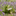Adorable Reading Frog Garden Figurine