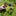 4 Pcs Ceramic Mushroom Garden Decor-Next Deal Shop-Next Deal Shop