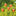 5 Pcs - Adorable Carrot Garden Stake
