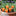 5 Pcs - Adorable Carrot Garden Stake