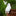 Resin Ghost Garden Figurine