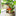 Fairy and Mushroom Flower Pot Decor