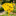 2 Pack - Bee Shaped Pollinator Watering Station