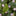 6.56 ft 20 LED Purple Flower Fairy String Lights-View 1-Next Deal Shop