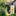 Daisy Flower Welcome Garden Flag