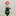 Solar Powered Garden Gnome Stake Light-Next Deal Shop-Next Deal Shop