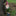 Naughty Garden Gnome Figurine