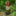Naughty Garden Gnome Figurine