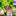 Decorative Metal Garden Plant Stake-Next Deal Shop-A-Next Deal Shop