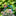 Decorative Metal Garden Plant Stake-Next Deal Shop-C-Next Deal Shop