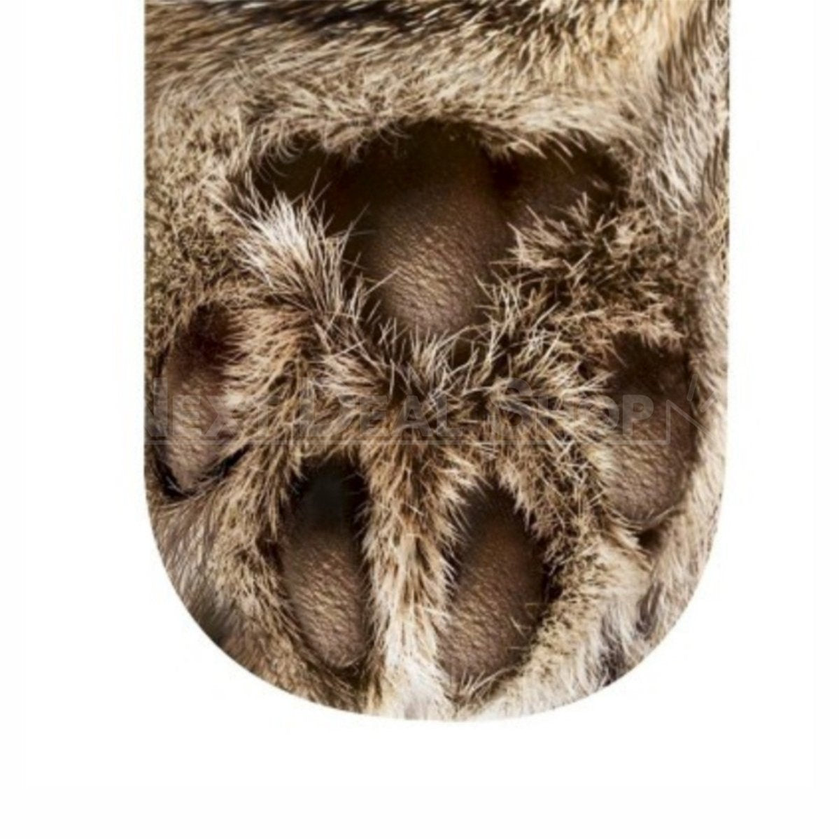Funny Animal Paw Socks-Next Deal Shop-Next Deal Shop
