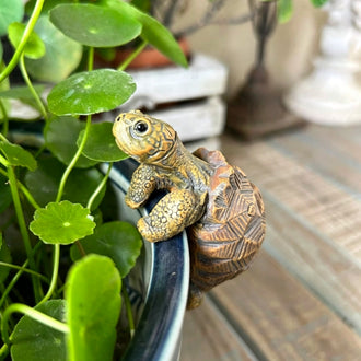 Hand Painted Resin Turtle Pot Hugger  -  Flower Pot & Planter Garden Decor