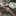 Large Bunny & Carrot Yard Stake Decor