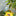 Crystal Suncatcher Plant Stake