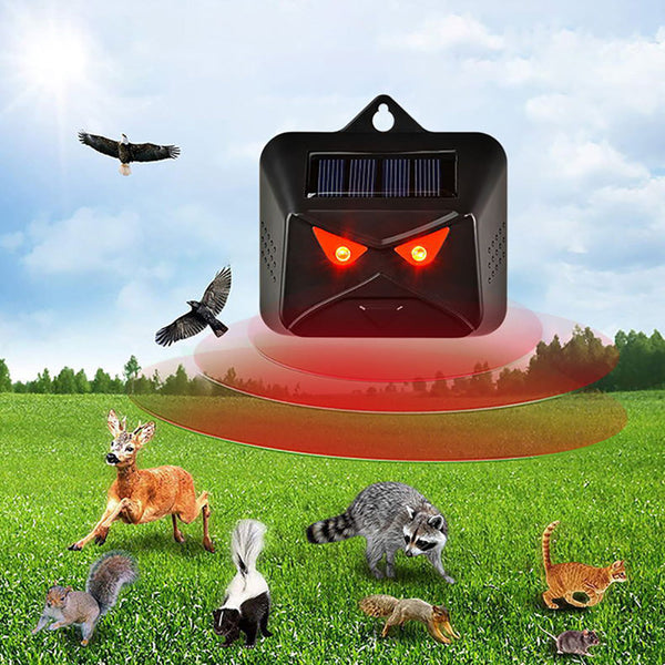 Solar Powered Nocturnal Animal Repeller – nextdealshop.co.uk