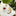Tipsy Cat Pot Hugger