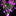 Decorative Solar Powered Flower Stake Light