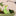 Adorable Frog Shaped Plant Watering Spike