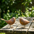 Rustic Metal Bird Garden Yard Art - Set of 2, Lawn Decor