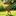 Rustic Metal Frog With Umbrella Garden Yard Stake-View 2-Next Deal Shop
